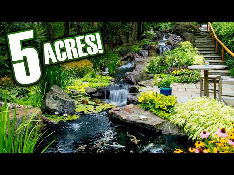 5 acres YOU HAVE to see! TOUR