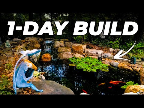 Easy Steps to Building Your First Backyard Pond