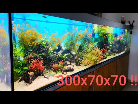 Essential Guide to Servicing and Maintaining Large Aquariums